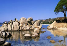 帕斯卡油缸的標(biāo)準(zhǔn)價(jià)格